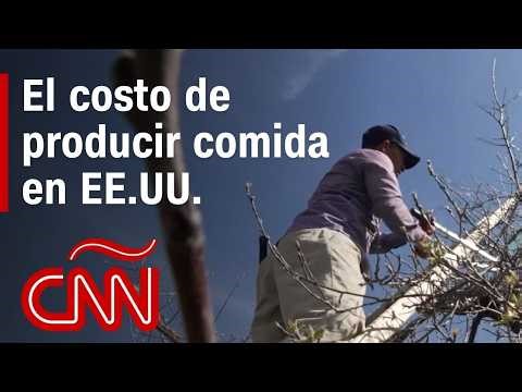 The challenge of maintaining a farm without undocumented workers in the U.S.