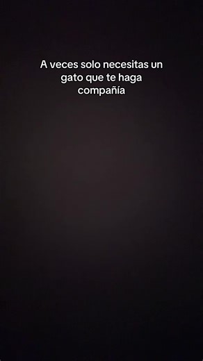 Videos de ➡️BULKYYYY⬅️ (@bulkycriiss) con “I will be watching you - agatha?”