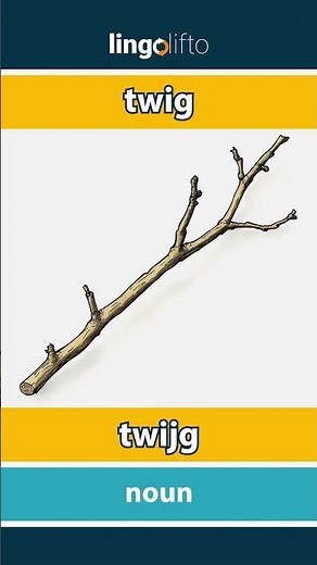 🇬🇧🇳🇱 twig - twijg : learn English : laten we Engels leren : vocabulary builder