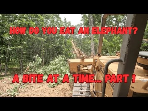 Is a 75 HP Case 550G Dozer enough??? Clearing solid timber for Pasture!