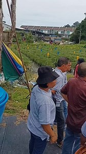 2.3K views · 67 reactions | Lawatan sambil belajar ke Sukip Farming. Belajar ilmu pengurusan tanaman cili secara fertigasi | Unding Undom | Facebook