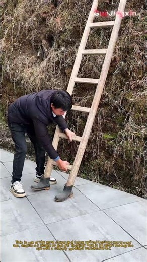 Crazy Optical Illusion: The Ladder That Walks By Itself!