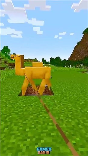 “This Minecraft Camel Challenge Is IMPOSSIBLE! 🐪🔥”#shorts #minecraft #usa #usashorts