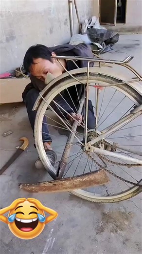 Funny Animal Sounds Compilation