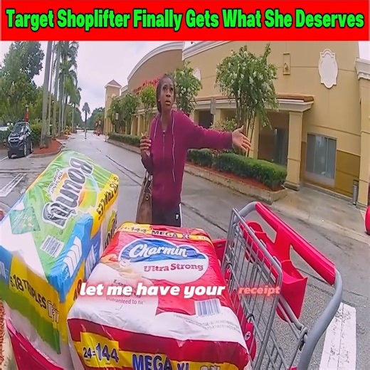 84K views · 2.1K reactions | She Tried Stealing from Target… Big Mistake | Gin gaming | Facebook