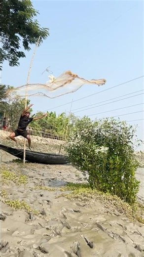 Amazing net throw best skill #reels #fishing #shortsvideo #vairalshort