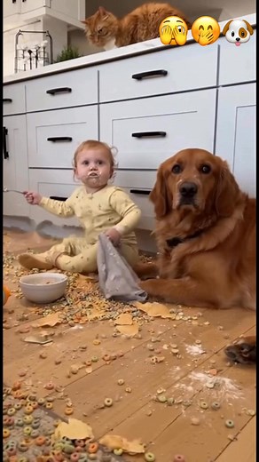 Baby Tries to Hide the Evidence | Endless Awws