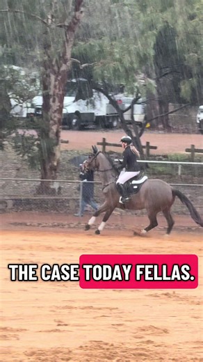 commentary by @COMP7ON and @08suoʇʎɐlƆ 🙌 #eventing #commentary #fyp #equestrian #trend