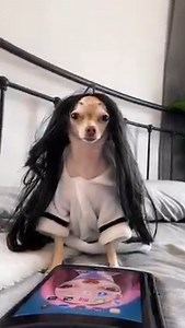 31K views · 3.5K reactions | เนียนนี ไม่โป๊ะ!! ต้องใช้ Claire...