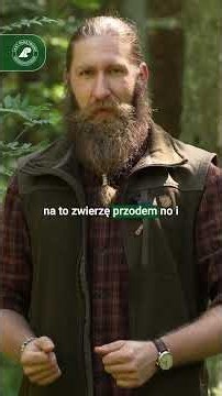 Spotkałeś niedźwiedzia? NIE UCIEKAJ