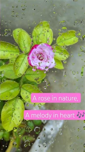 My all-time favourite singer Unnikrishnan🌹🎶 Soulful melody | Tamil song
