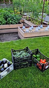 296K views · 4.2K reactions | Harvest time. For details, see the previous videos. | Harvest Garden | Facebook