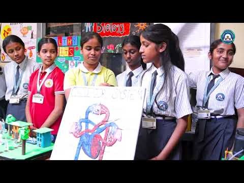 Howrah Modern School Science Fair: Best Working Models by Students!