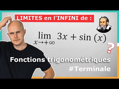LIMITES des Fonctions TRIGO en l'INFINI - Exercice Corrigé - Terminale