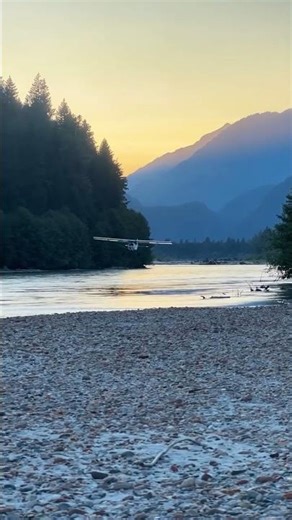 Pipper Cub soft landing #shorts