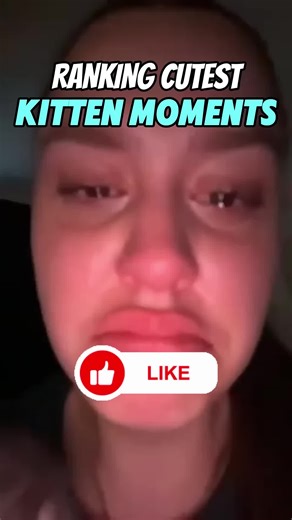 Kittens: the tiny dictators of chaos, cuteness, and occasional property destruction. Today, we’re diving deep into Ranking the Cutest Kitten Moments Ever! Warning: these moments are so adorable they may cause spontaneous “awws,” involuntary cooing, and mild jealousy toward creatures with fur the size of a tennis ball. At #3, we have Mr. Fluffernutter, who attempted to catch his own tail and ended up in a gravity-defying tumble that could only be described as “adorable disaster.” #2 goes to Lady 