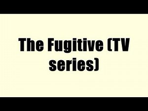 The Fugitive (TV series)