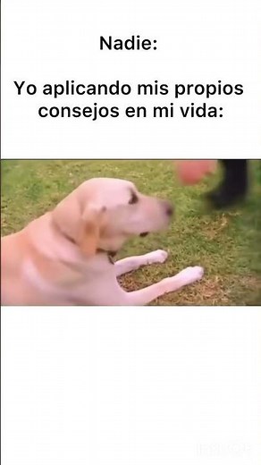 Saying they'd never do something and then... 🤣 #relable #meme #funny