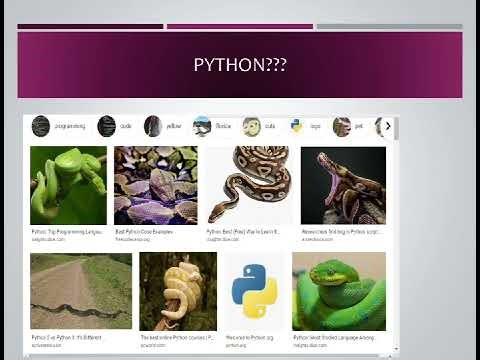 Phython Fundamentals - Introduction to Basics #phython