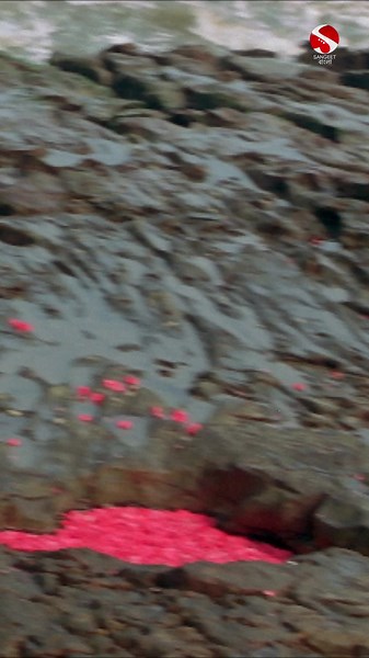 127K views · 473 reactions | Sangeet Bangla weekly top 5 এর আজকের প্রিয়াঙ্কা স্পেশাল পর্বে, শুনে নেবো তার সিনেমার ব্লগবাস্টার কিছু গান। #WeeklyTop5 Ft. Priyanka Sarkar: bit.ly/weeklyTop5PriyankaSpecial_SangeetBangla #HullorHoyeJak #SangeetBangla | SANGEET BANGLA | Facebook