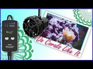 Making Waves in My Fluval Evo! 🌊🐠 – Testing the Hygger Nano Wavemaker