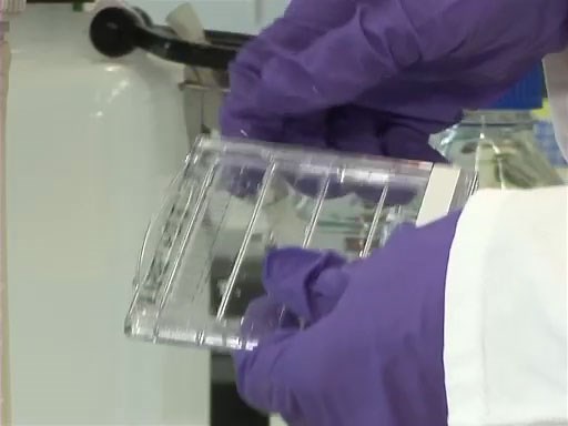 Video: Separating Protein with SDS-PAGE: Procedure and Applications