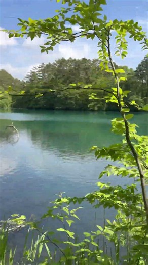 毘沙門沼 #五色沼 #裏磐梯 #磐梯山 #沼 #福島県 2026 5月26日