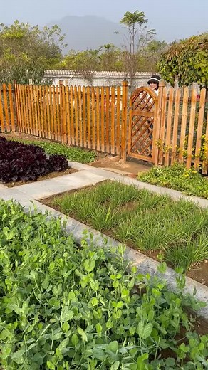 Sustainable Vegetable Gardening: A Guide to Green Living