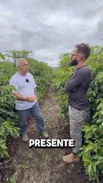 Why use gypsum in agriculture?