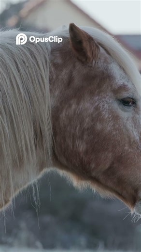 Peaceful Horses Grazing in a Scenic Countryside Landscape