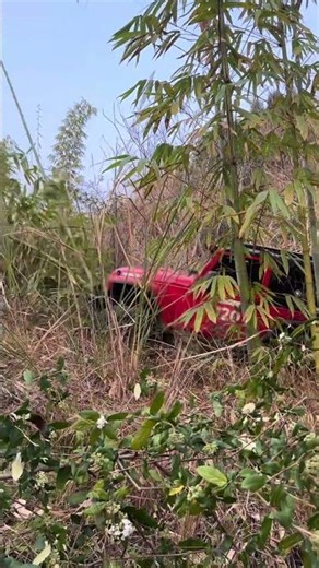 Off Roading a Jeep Through INSANE Terrain! 😱🔥