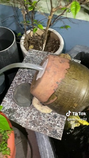 Chia sẻ cách làm bể cá koi mini.ai có cách hay hơn thì chia sẻ góp vui ạ#becakoi #chaucamini #cakoi