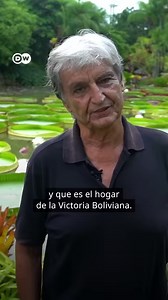 70K views · 4.6K reactions | Un nenúfar en superlativo El boliviano...