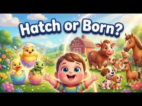 Hatch or Born? | Baby Animals Learning for Kids 🐣👶