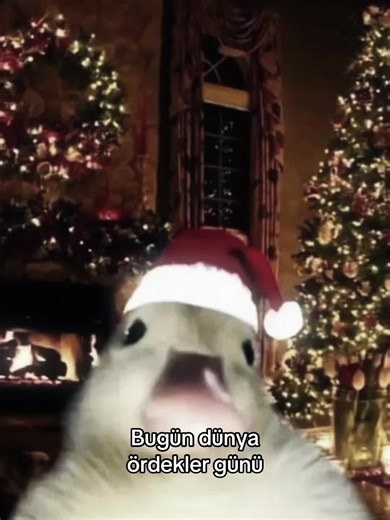 Dünya Ördekler Günü Kutlaması