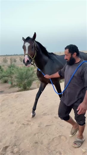 ‏#فلاح #البدائع_القصيم #يويلك #يهل#الواهو🔥