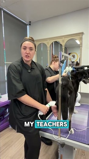 Learning Dog Grooming With No Experience | Student Story