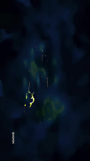 Akeno Himejima: The Ultimate Waifu Revealed!