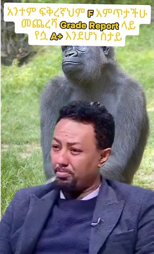 #ethiopia #ethiopian_tik_tok #tiktok #viral #aau #Dbu #Aplus #ዩንቨርስቲ #follow