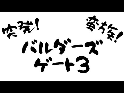 年明けと言ったらコレ！バルダーズ・ゲート３【BG3】