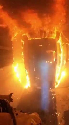 Firefighters rescue animals #animals #asmr #videoai #horror