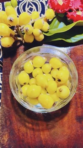 Let’s Try Loquat 😋