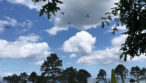 Dakotas over Omaha Beach for the 75th Anniversary of the landings at Normandy. | Boneyard Safari