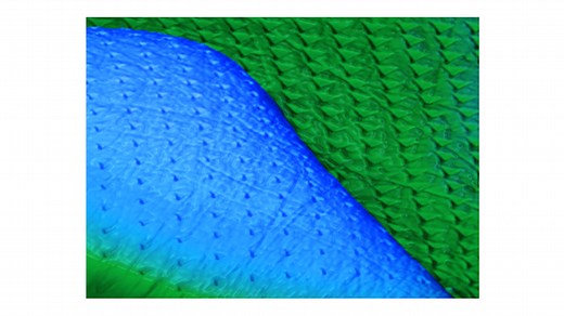 XPM 超快纳米压痕