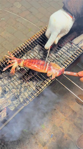 Grilled Squid Street Food That Went Viral!. #StreetFood #GrilledSquid #SquidCooking #SeafoodStreetFood #AsianStreetFood #SquidGrill #FoodASMR #SatisfyingCooking #SquidCutting #FoodieLife #SeafoodLover #SquidRecipe #CookingSkills #TastyStreetFood #GiantSquid #StreetFoodVideos #FoodViral #CookingShorts #foodreels #viralreels | CN Street Food