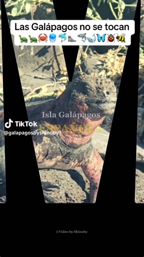 #ecuatorianosporelmundo🇪🇨🌏💫 #ecuador🇪🇨