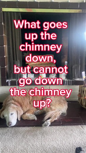 Riddle me this. Any guesses? #riddle #brainteaser #justforfun #riddlemethis | Sara L