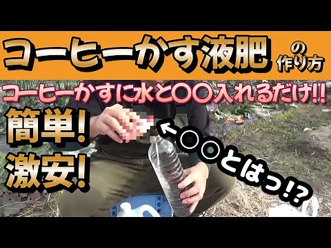 【コーヒーかす液肥】葉に効く液肥!!捨てちゃうコーヒーかす再利用で簡単液肥作り!!さらに費用も激安です!!【コーヒーかす】【家庭菜園】【園芸】【液肥】【コーヒー】