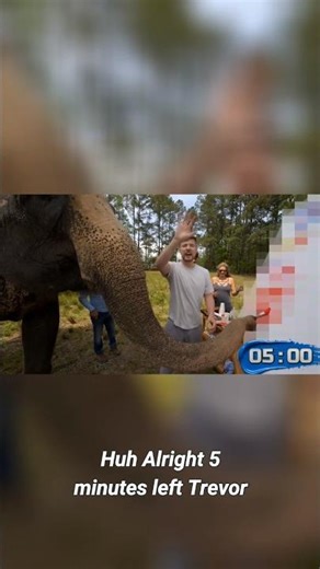 Elephant Artist & Trevor's Bob Ross Transformation!