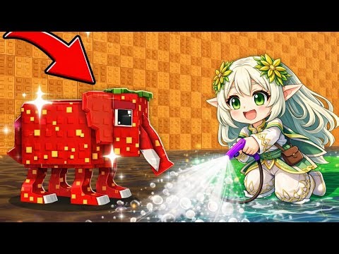 LIMPEI TUDO no Pressure Wash for Brainrots! (Roblox)